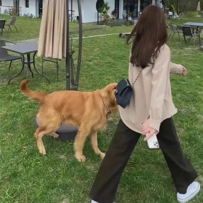 保你有钱途